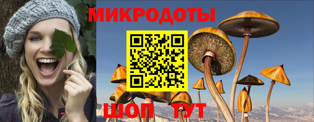 наркошоп  Вход с VPN  Новоалтайск  Псилоцибиновые грибы Psilocybe 